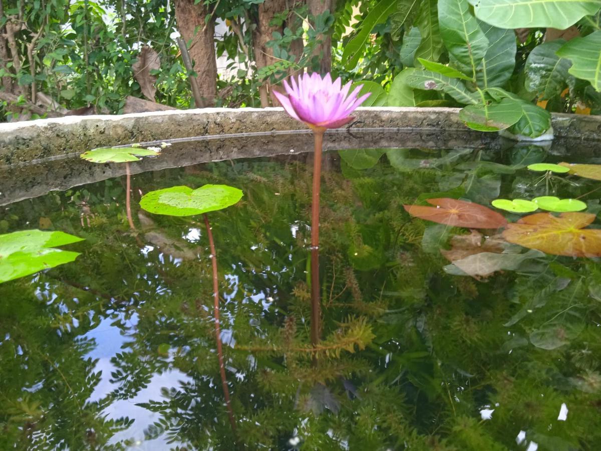 Green Garden Hiriketiya Диквелла Экстерьер фото